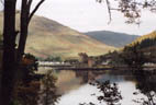 Dornie