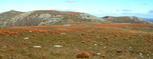 Lochnagar plateau from Carn a Choire Bhoidheach