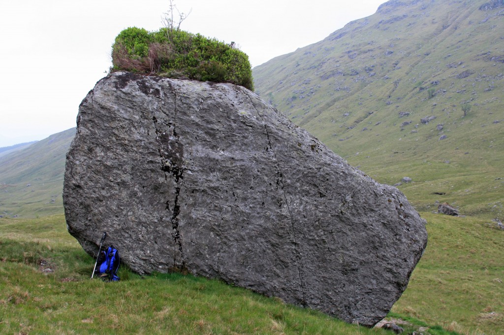 vegetated boulder in Coire Earb