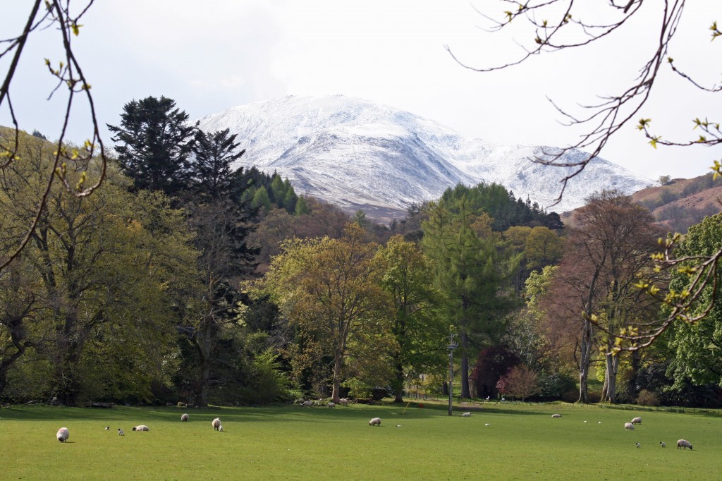 Ben Vorlich from Ardvorlich on Loch Earn