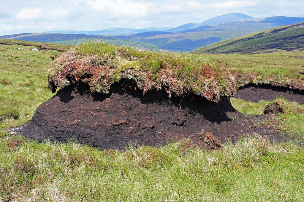 peat hag in upper coire