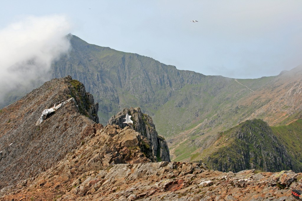 along the initial knife-edge ridge from summit of Crib Goch