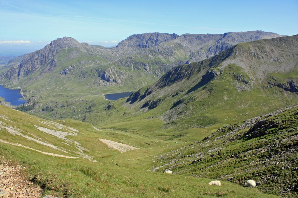 view towards Tryfan and the Glyders from Y Llymllwyd