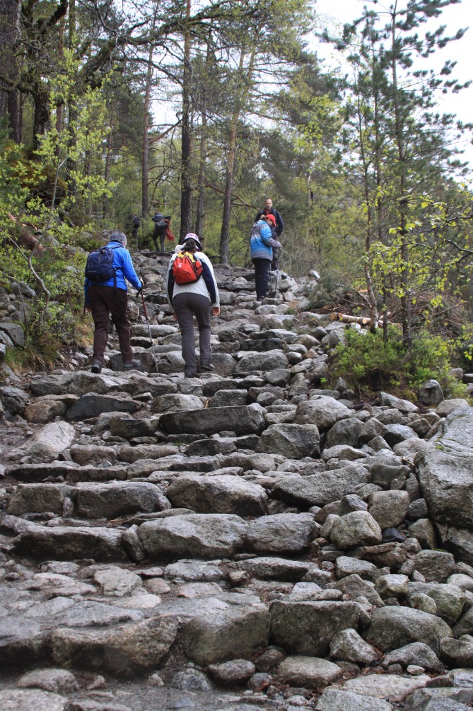 stone steps on the Preikestolen path