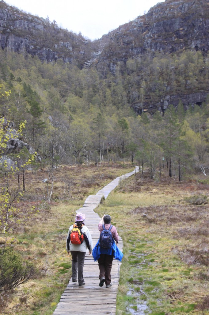 crossing the boggy bit on duckboard path