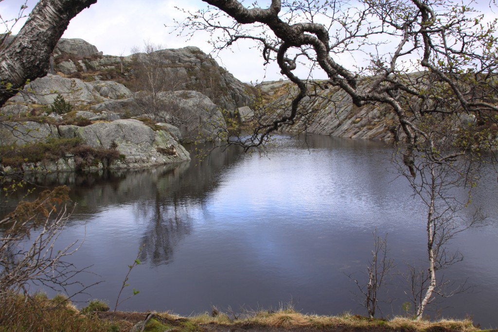 mountain lake on the Preikestolen path